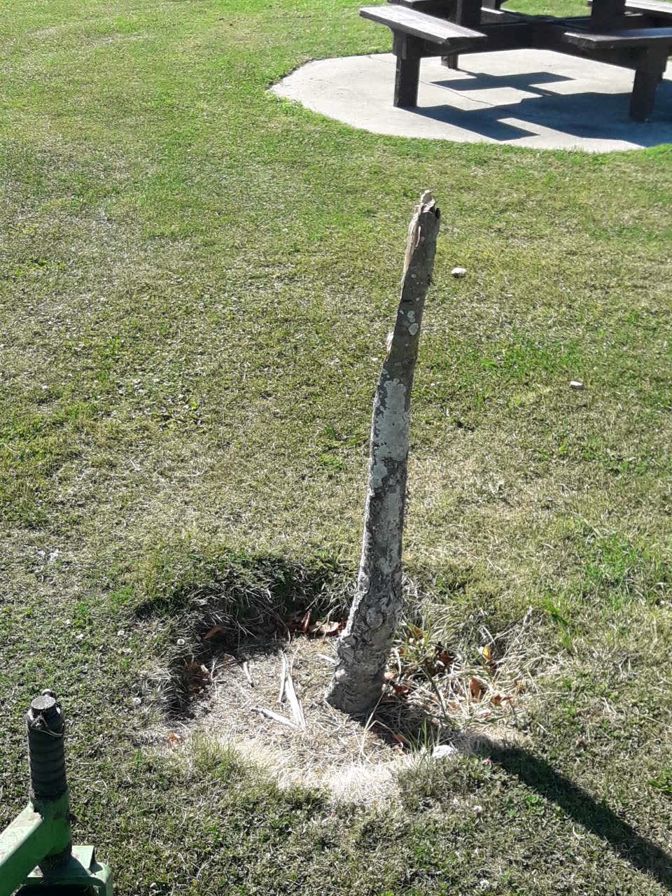 The photograph attached to this parks report
