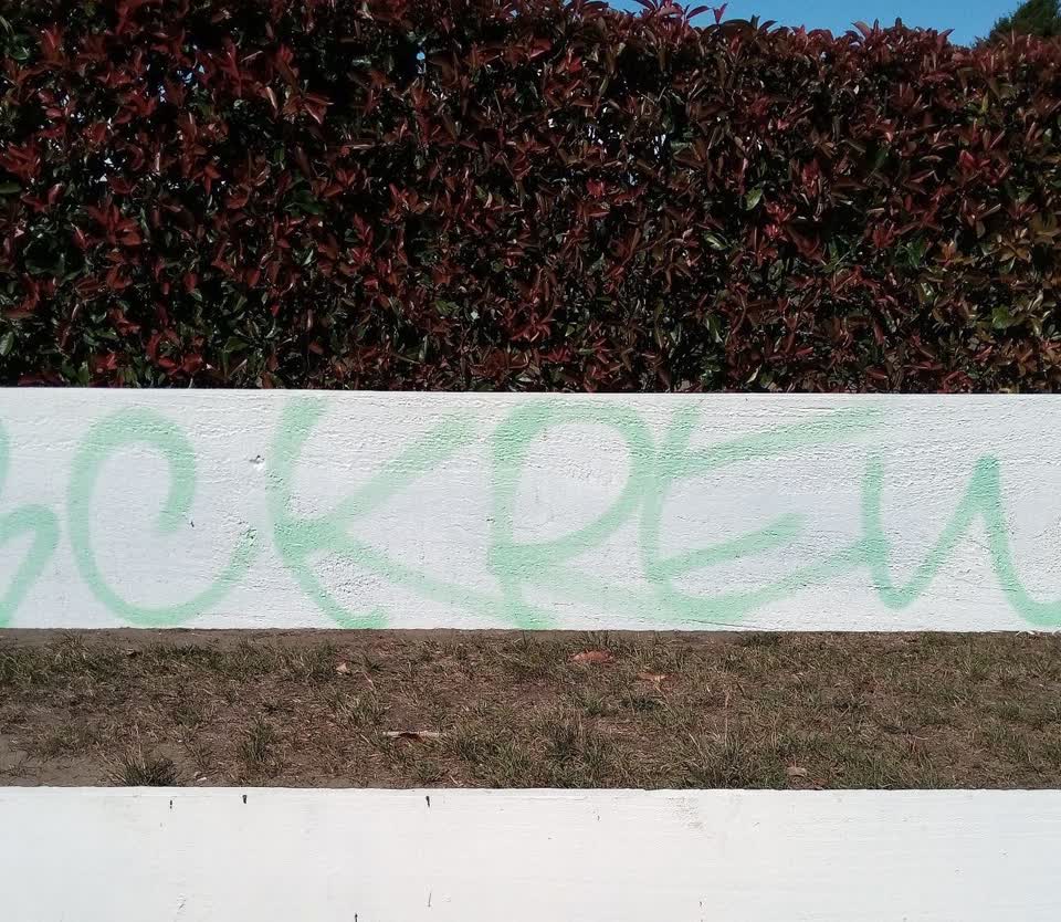 The photograph attached to this graffiti report