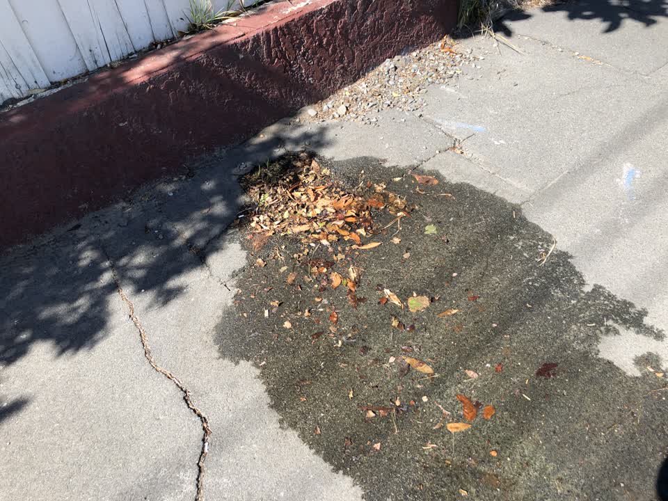 The photograph attached to this water supply report