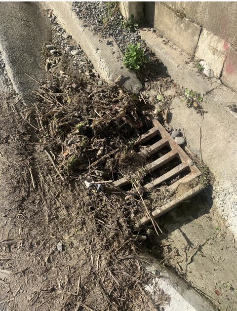 Wastewater/Stormwater, a report photo