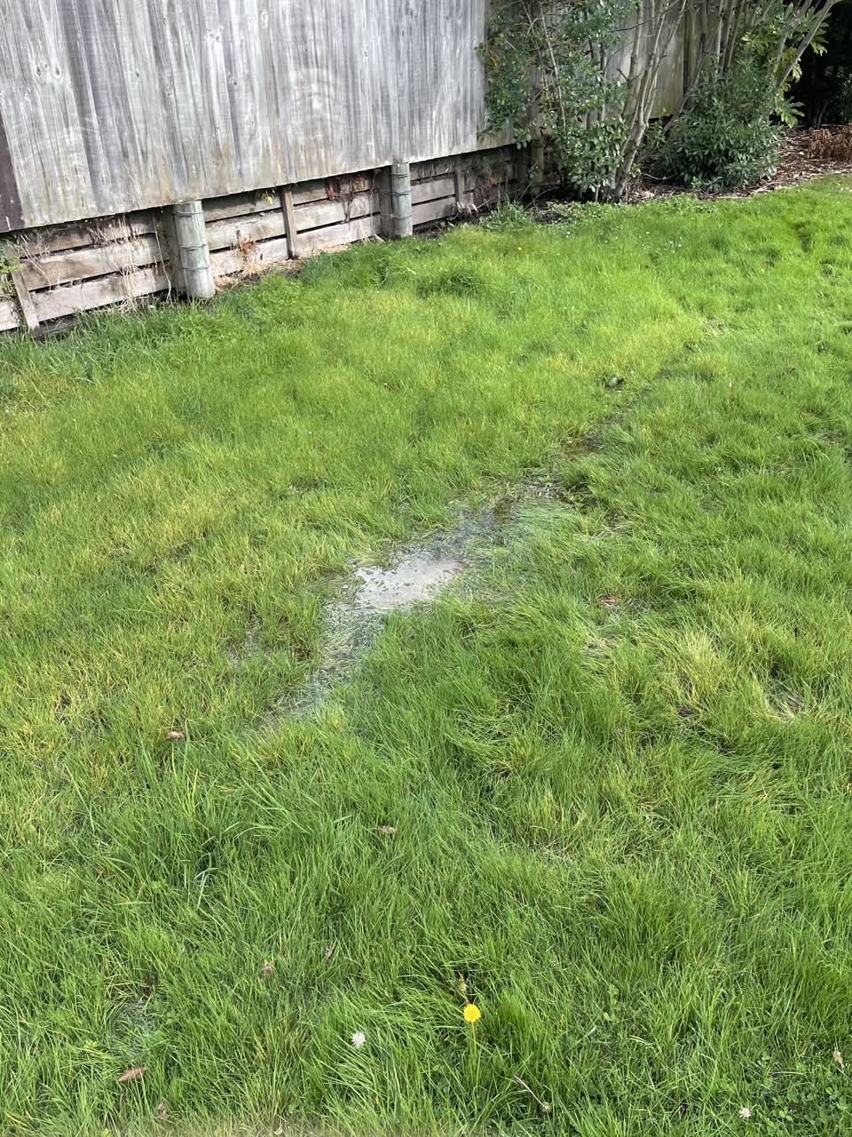 The photograph attached to this flooding report