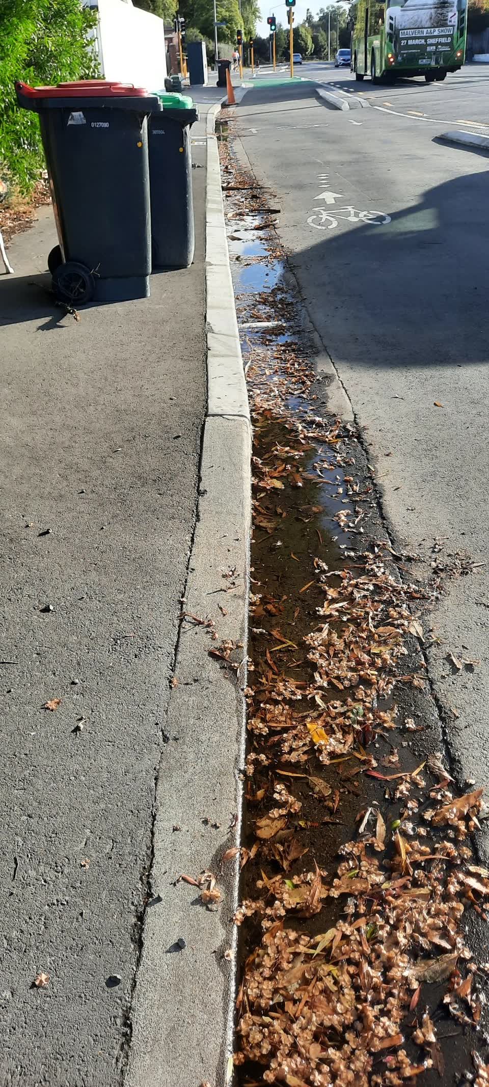 The photograph attached to this sewer - leak / blockage report