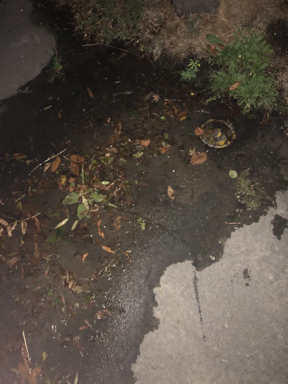 The photograph attached to this water leak report