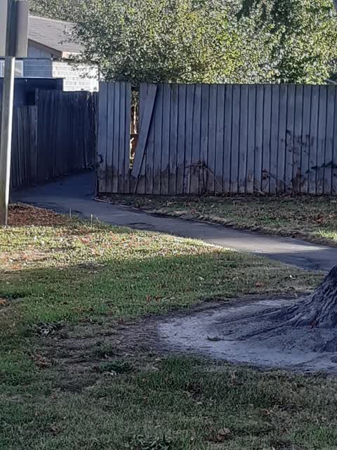 Parks — a report photo