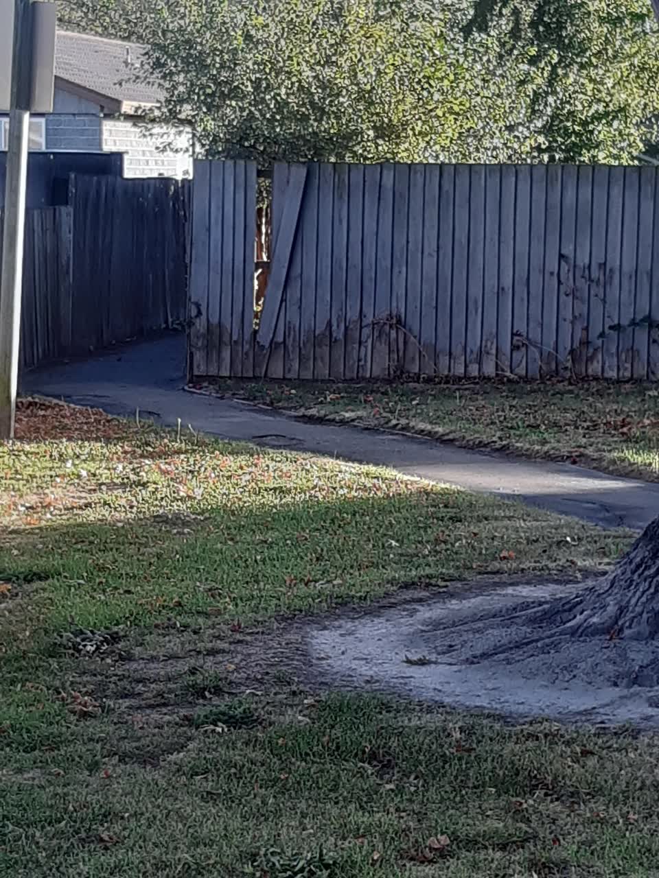 The photograph attached to this parks report