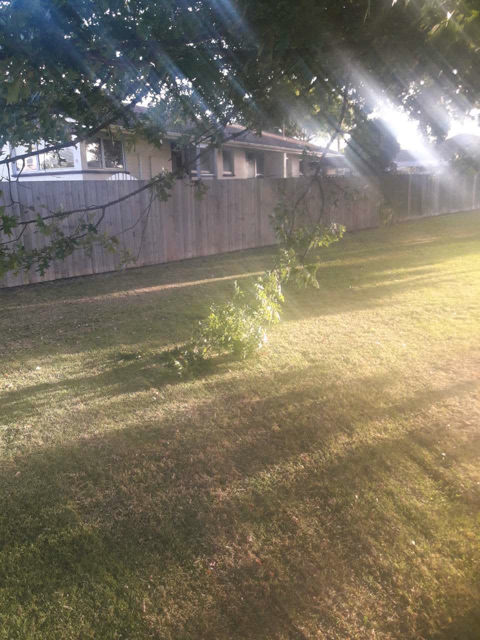The photograph attached to this parks report