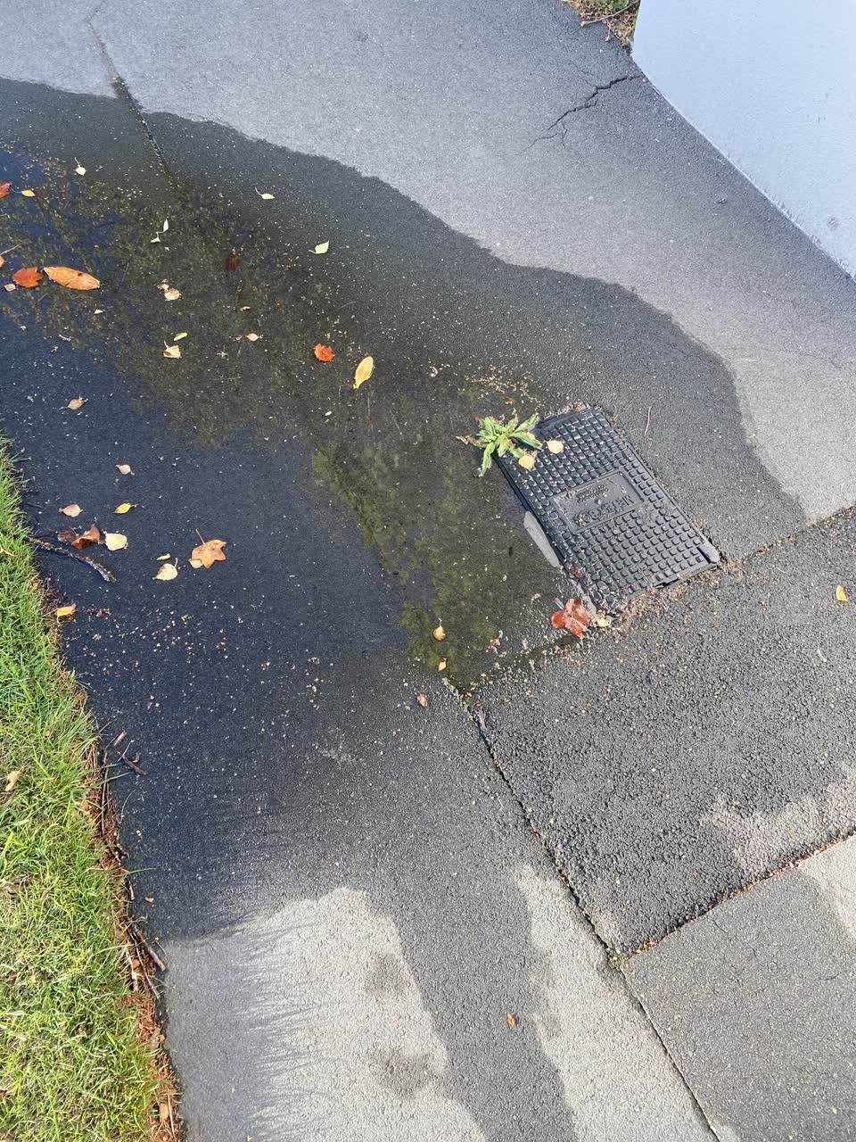 The photograph attached to this water leak report