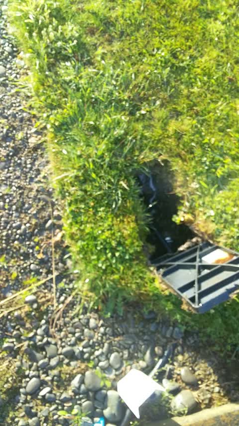 Water Leak, a report photo