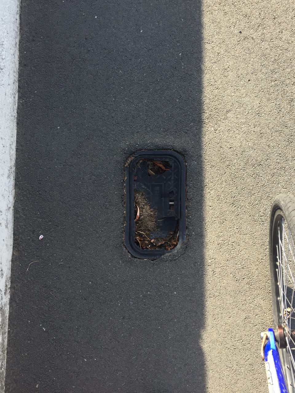 The photograph attached to this water supply report