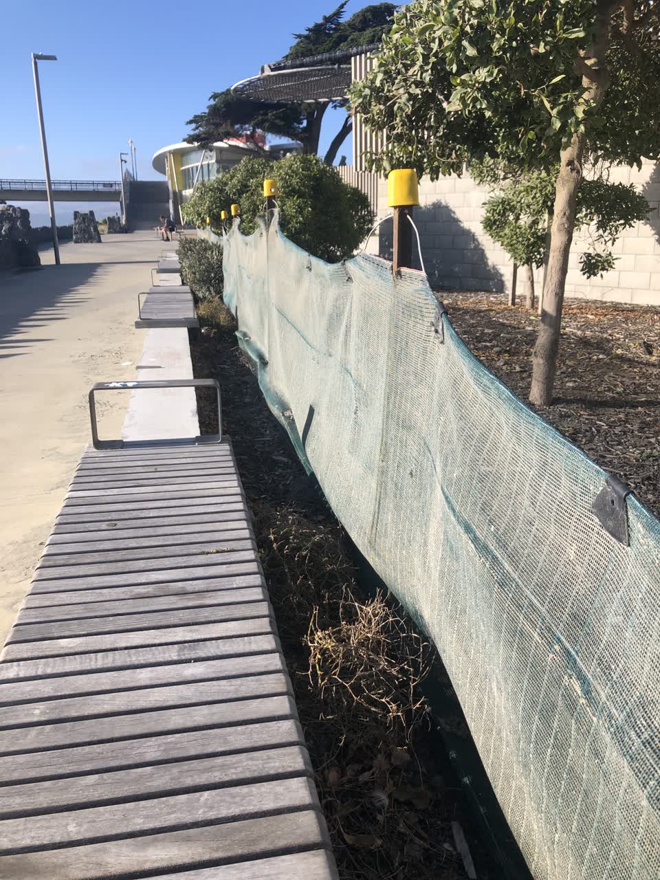The photograph attached to this parks report