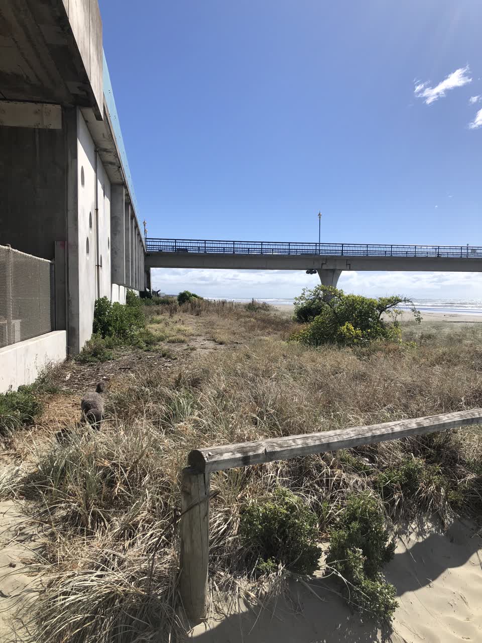 The photograph attached to this parks report