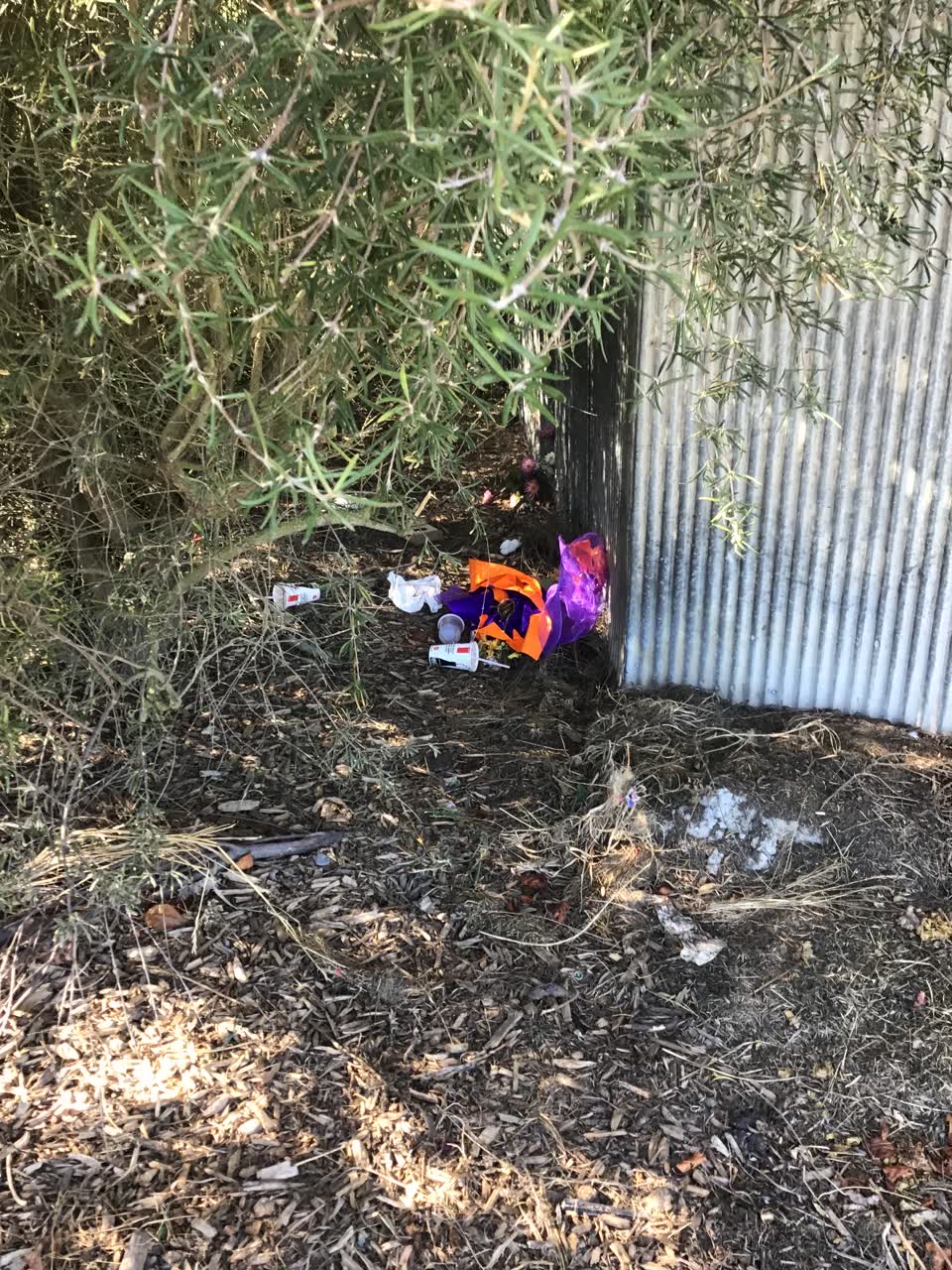 The photograph attached to this rubbish/recycling report