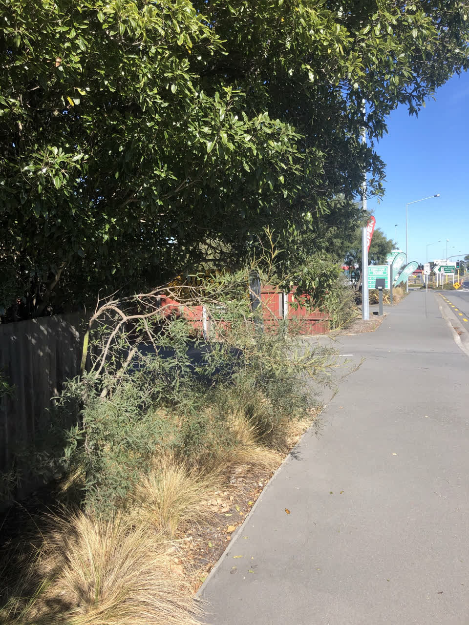 The photograph attached to this parks report