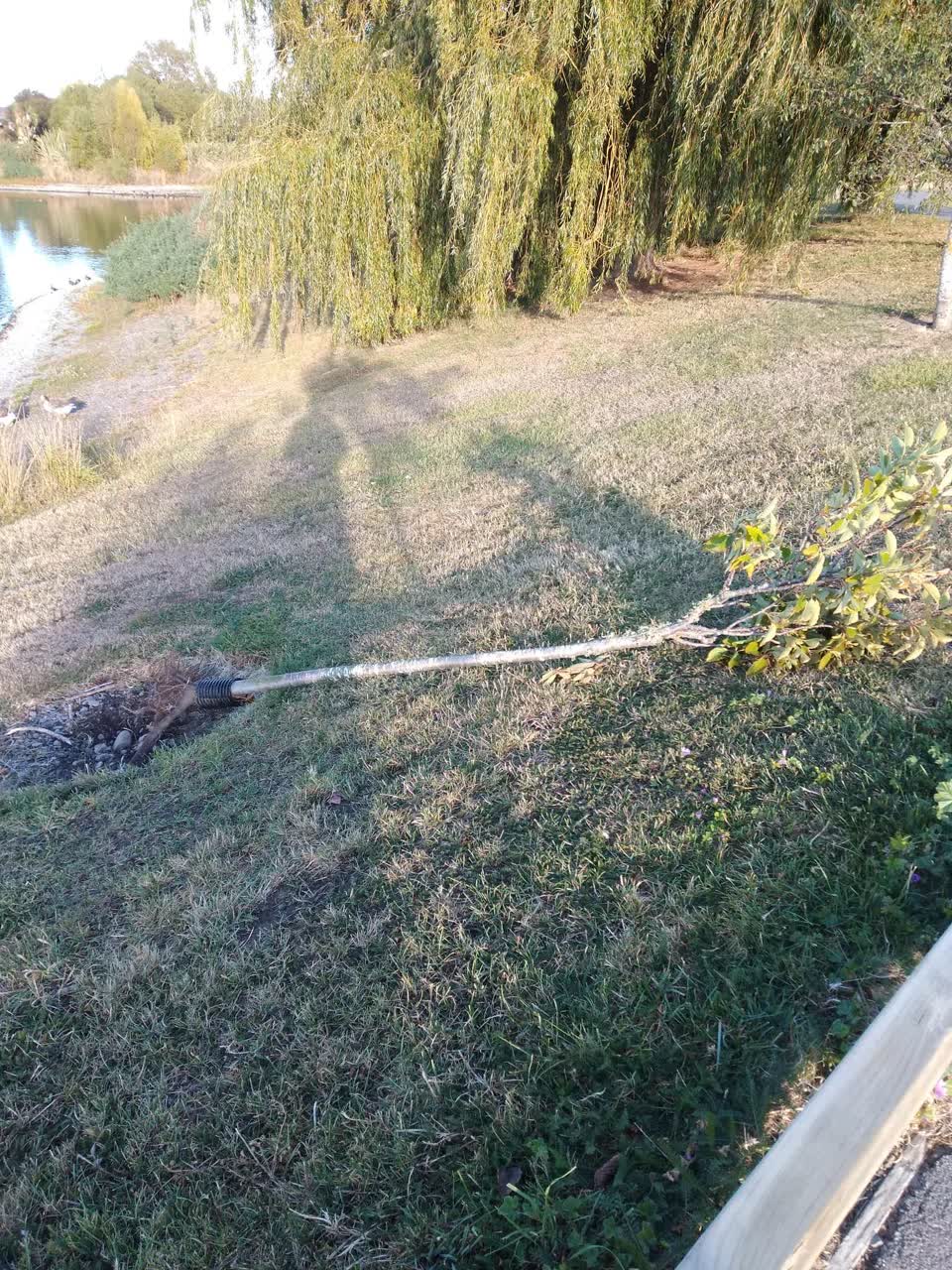 The photograph attached to this parks report