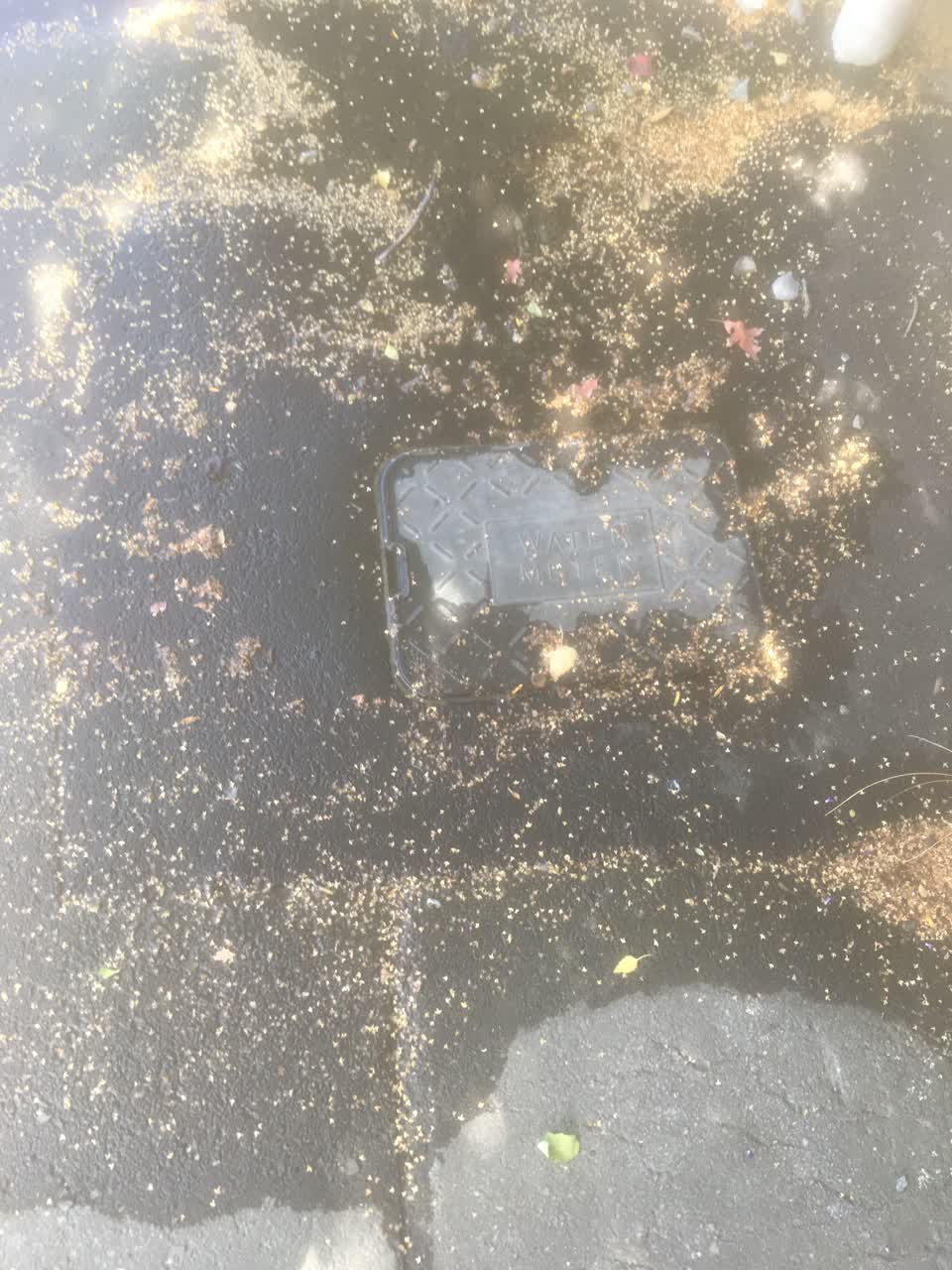 The photograph attached to this wastewater/stormwater report