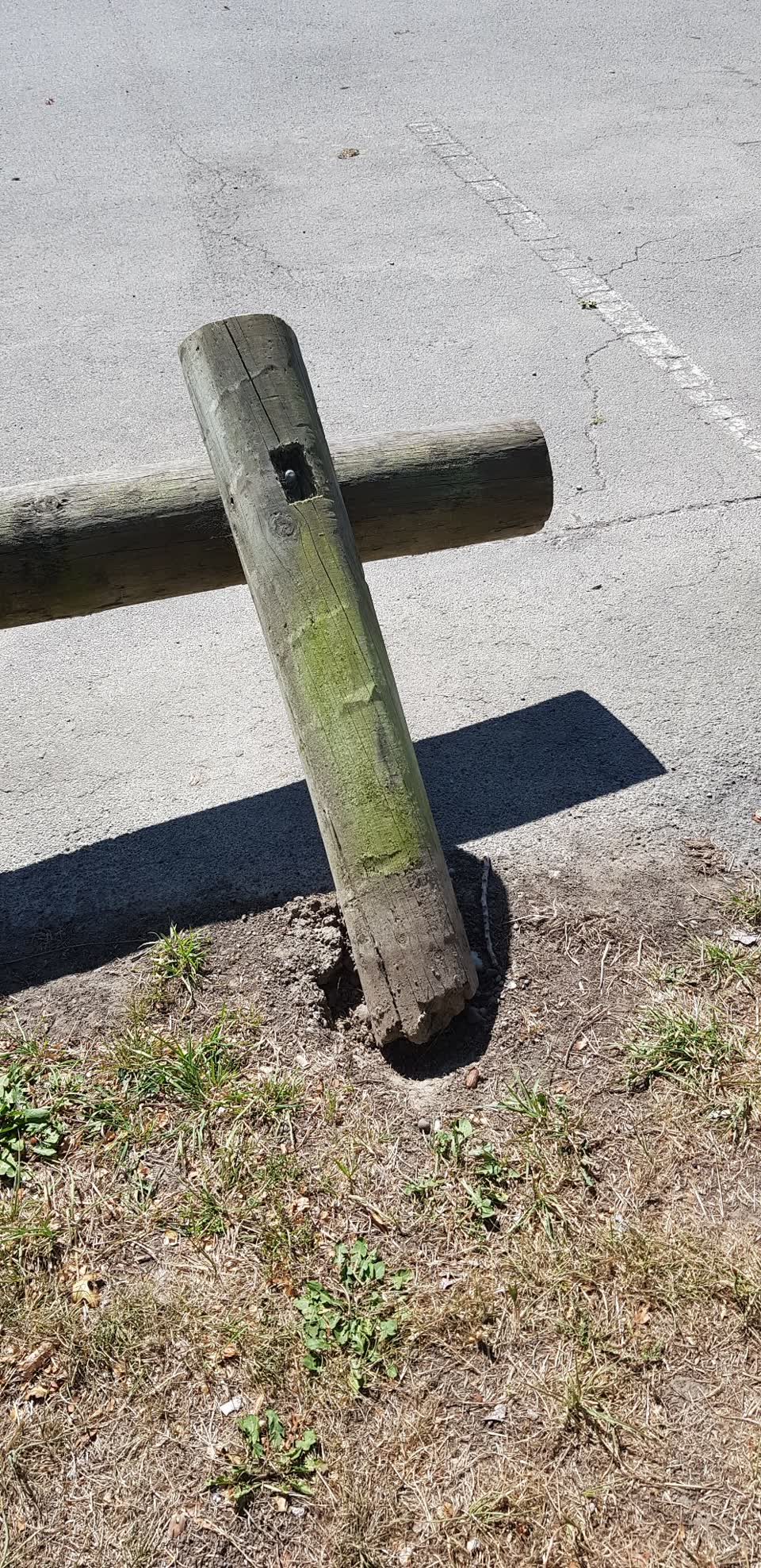 The photograph attached to this parks report