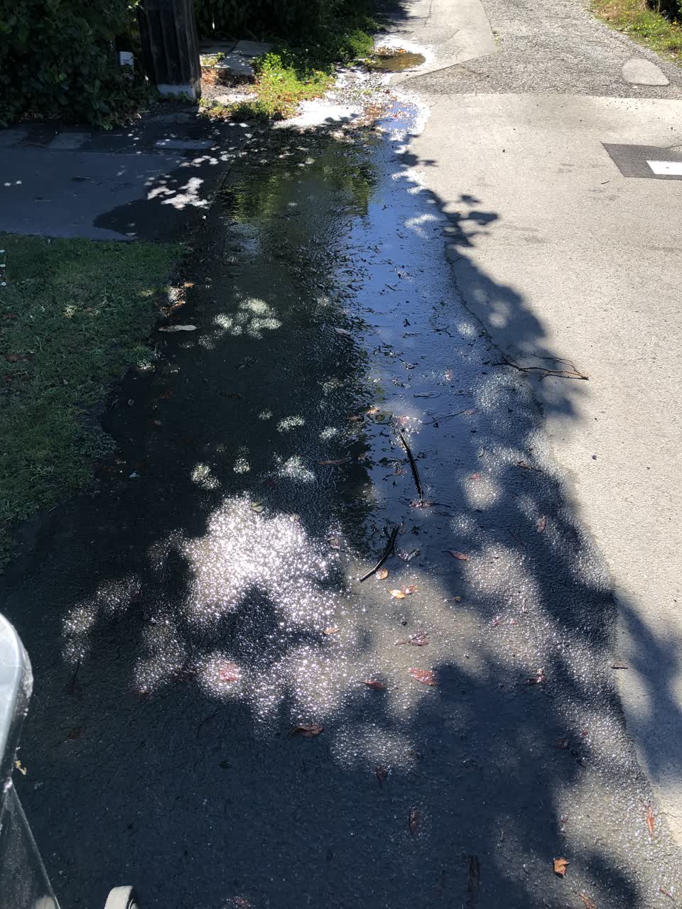 The photograph attached to this water leak report
