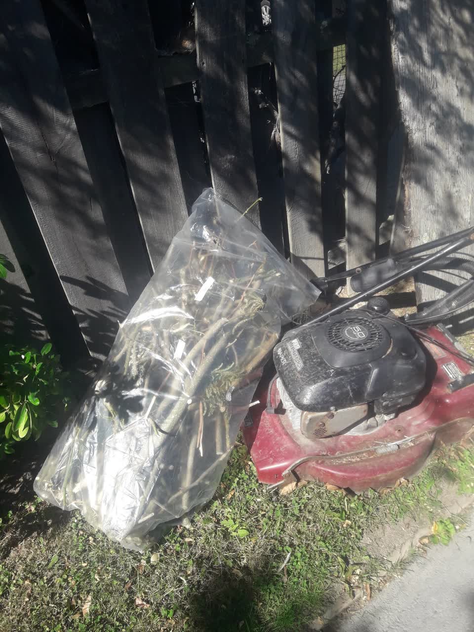 The photograph attached to this parks report