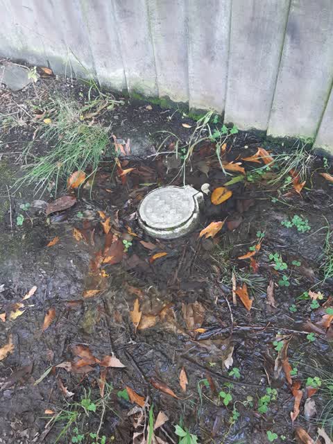 Water Leak, a report photo