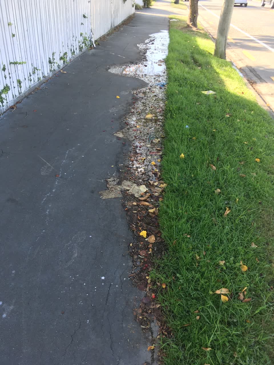 The photograph attached to this water leak report