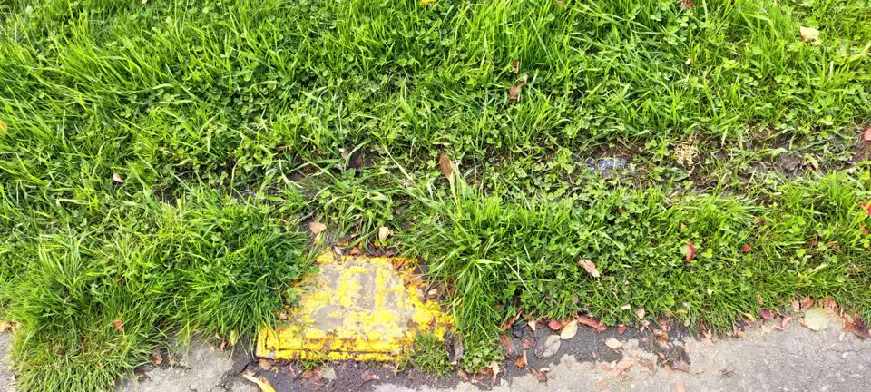 The photograph attached to this water leak report