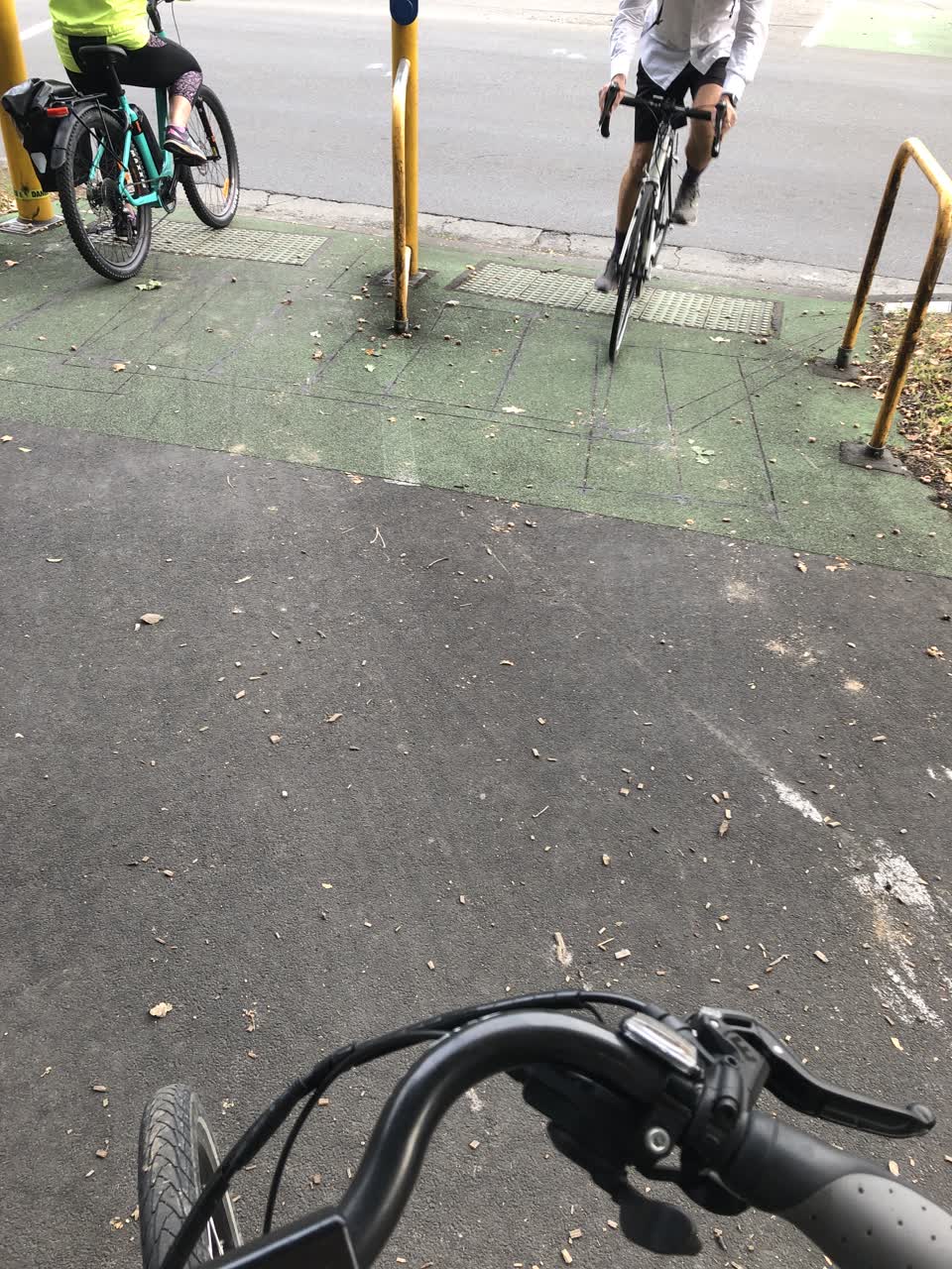 The photograph attached to this parks report