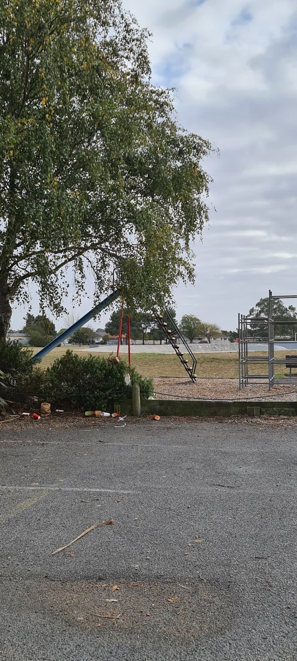 The photograph attached to this parks report