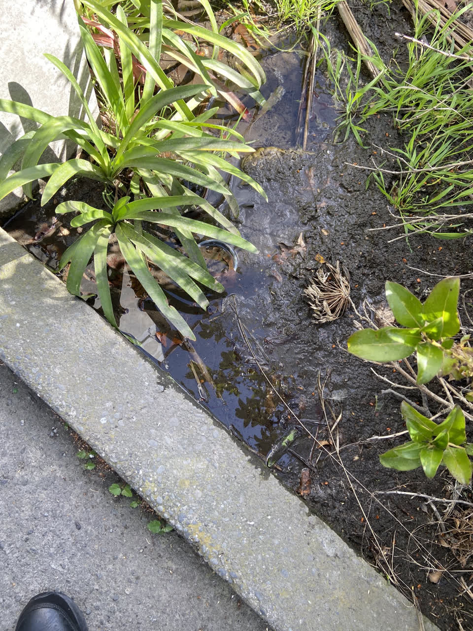 The photograph attached to this water leak report