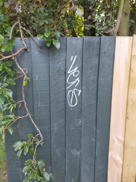 Graffiti, a report photo