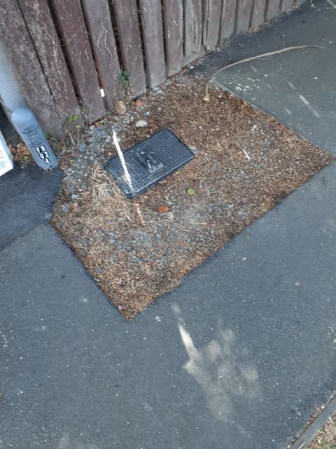 Roading/Streets, a report photo