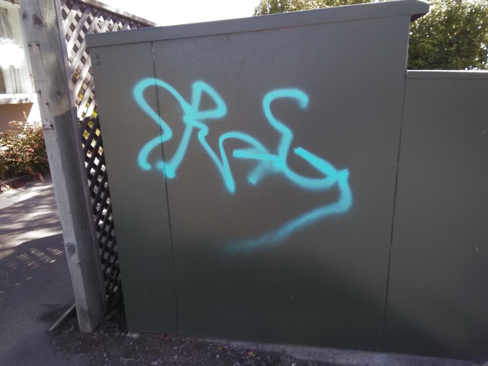 The photograph attached to this graffiti report