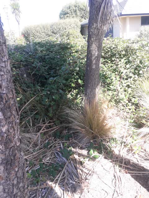Parks, a report photo