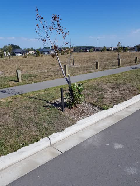 Parks, a report photo