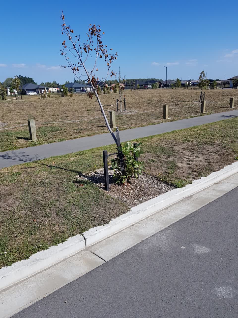 The photograph attached to this parks report