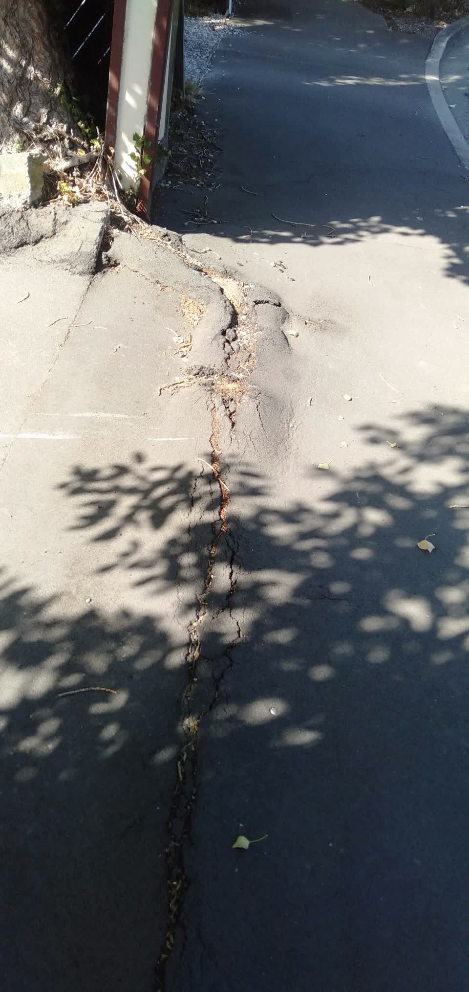 The photograph attached to this roading/streets report