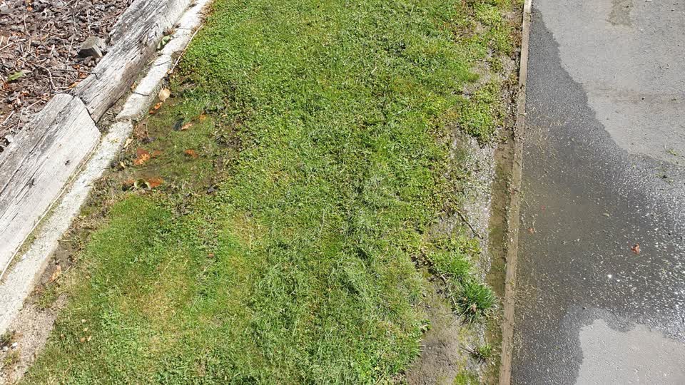 The photograph attached to this water leak report