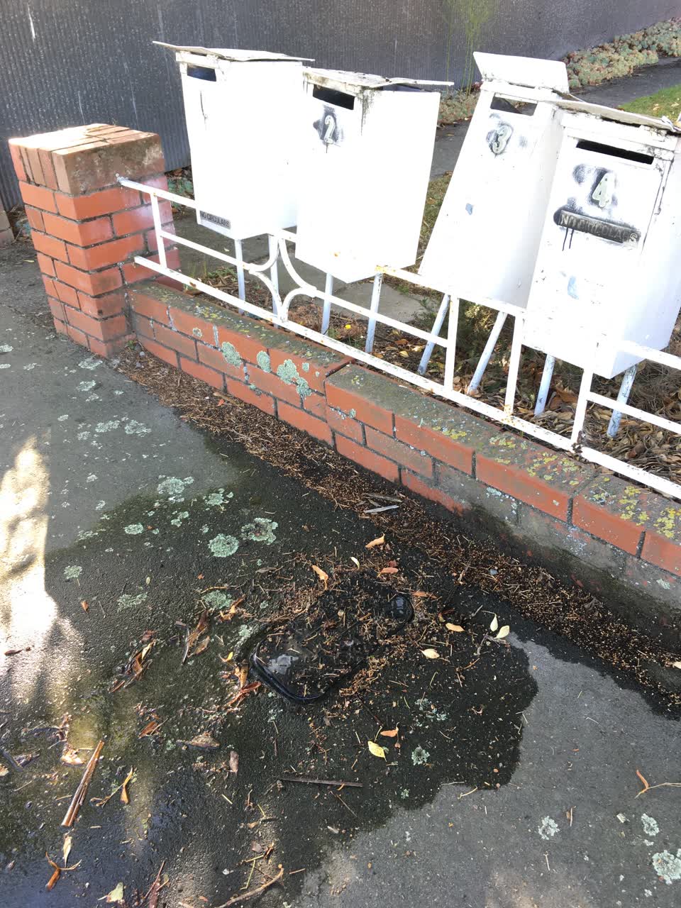 The photograph attached to this water leak report