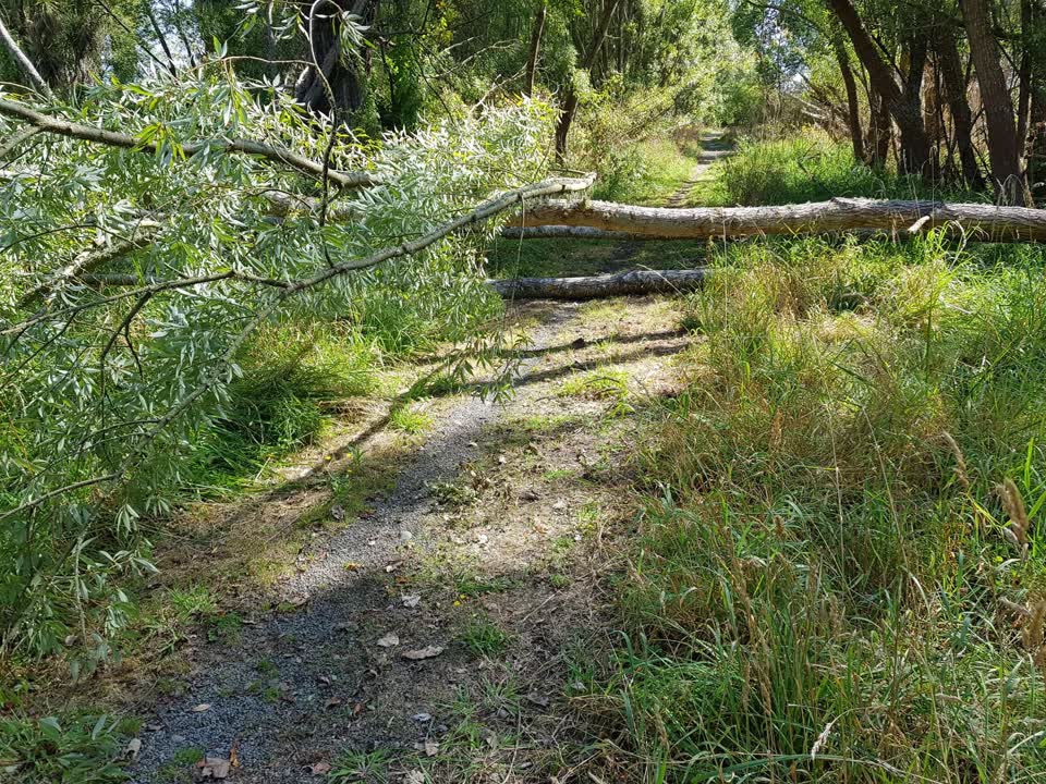 The photograph attached to this parks report