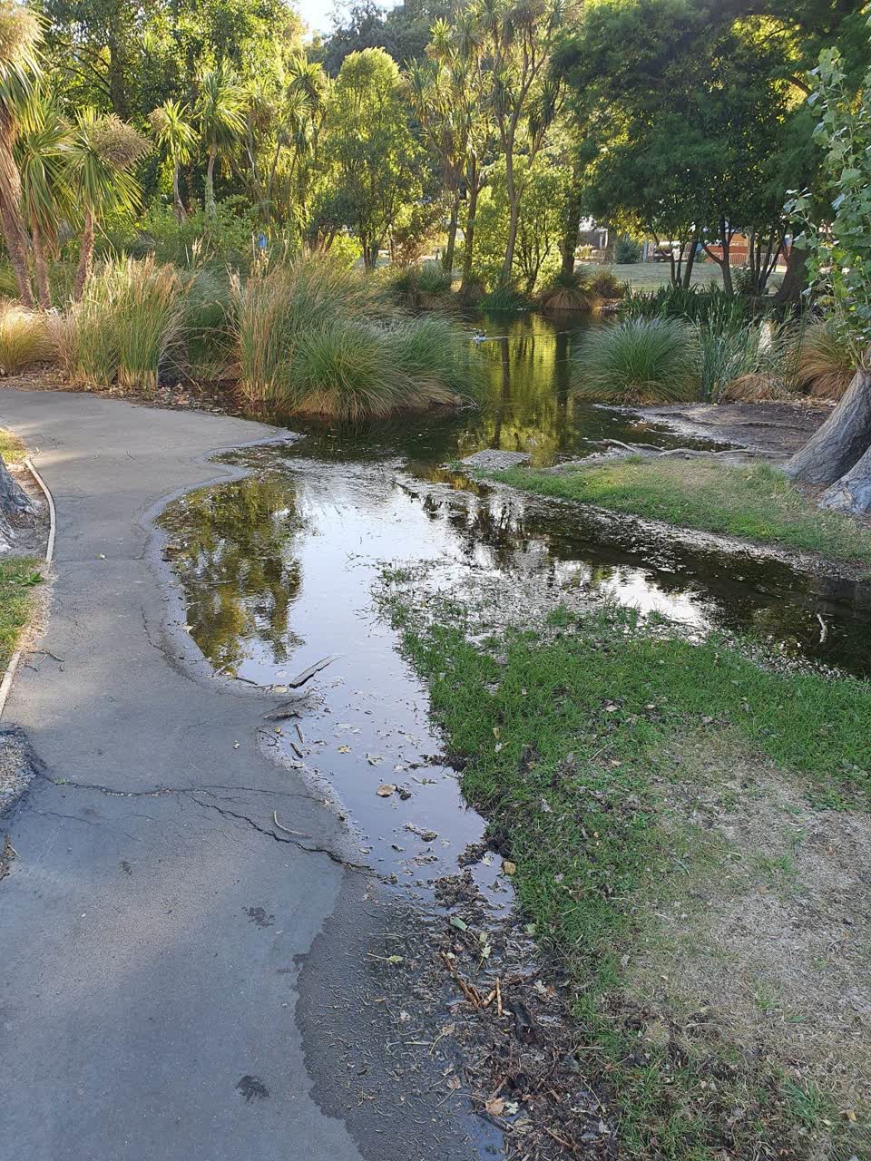 The photograph attached to this wastewater/stormwater report
