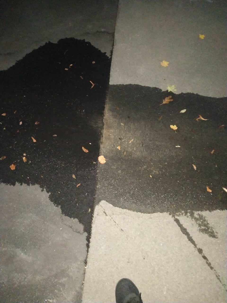 The photograph attached to this water leak report