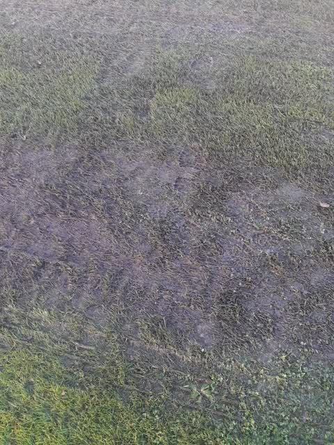 Parks, a report photo