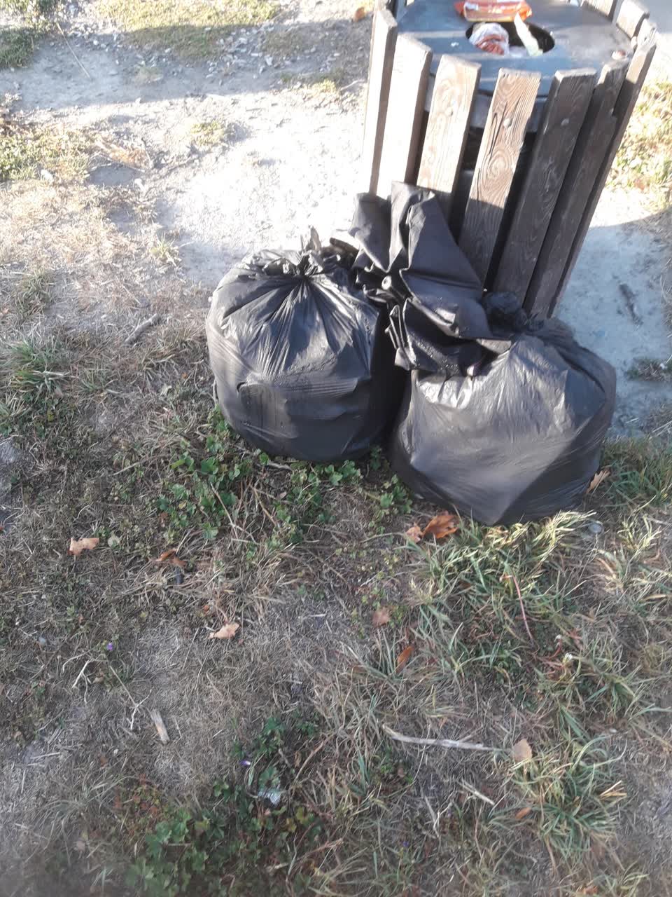 The photograph attached to this parks report