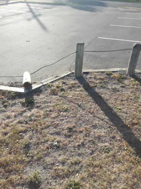 Parks, a report photo