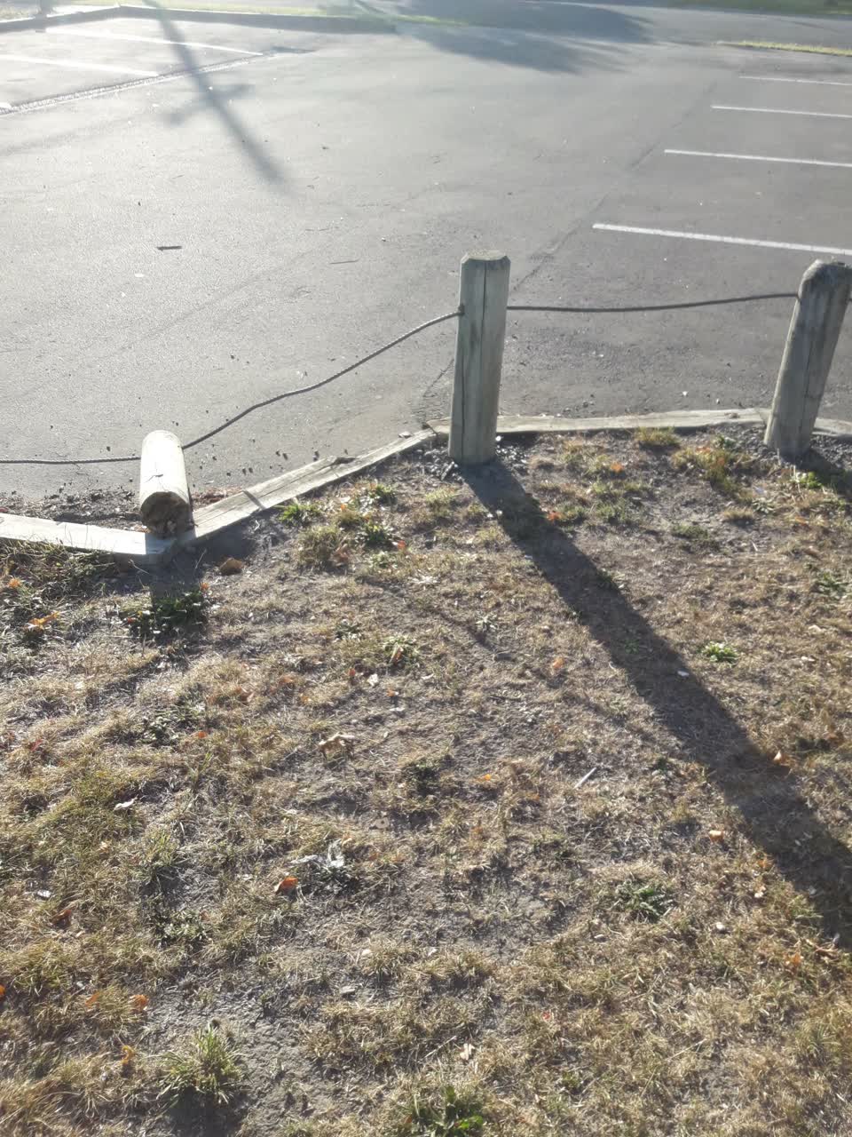 The photograph attached to this parks report