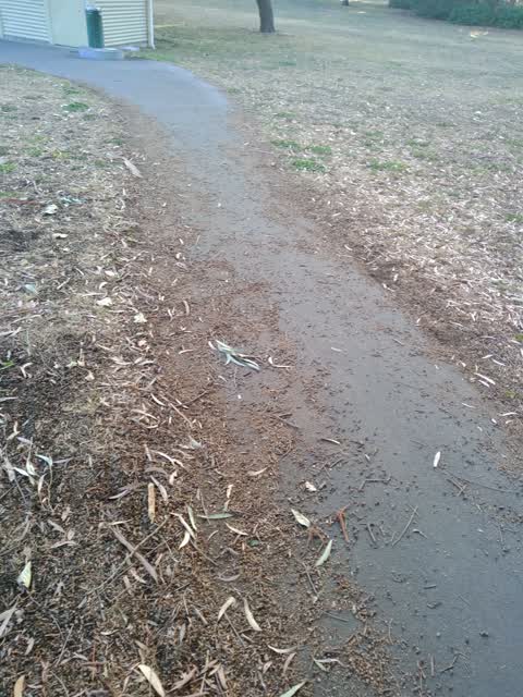 Parks, a report photo