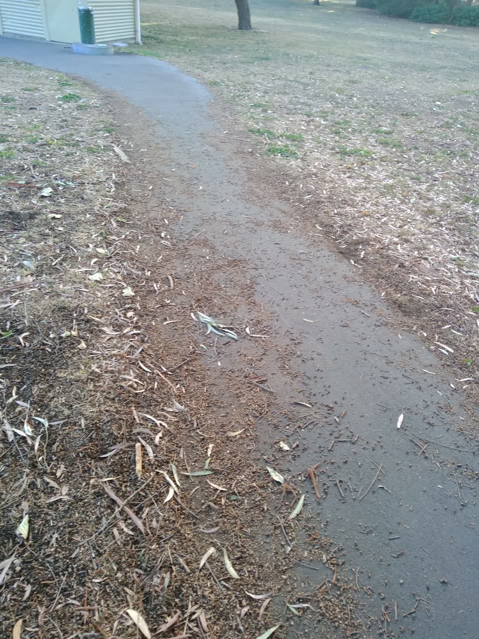 The photograph attached to this parks report