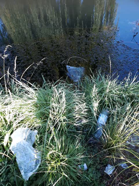 Rubbish/Recycling, a report photo