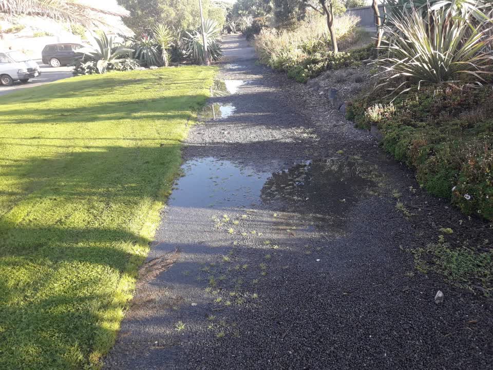 The photograph attached to this parks report