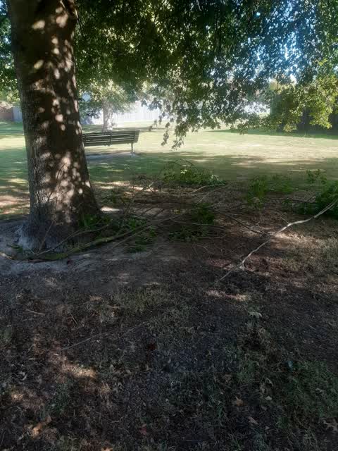 Parks, a report photo