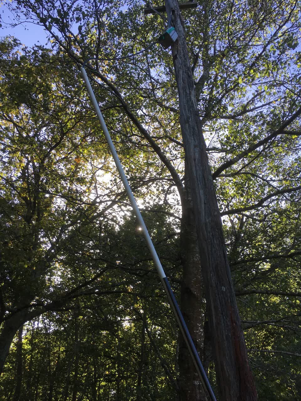 The photograph attached to this parks report